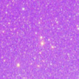 Meet your Posher, Cellular.andromeda